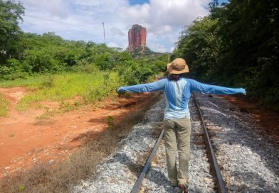 ¿Qué ver en Santa Cruz? La mágica Chiquitanía boliviana