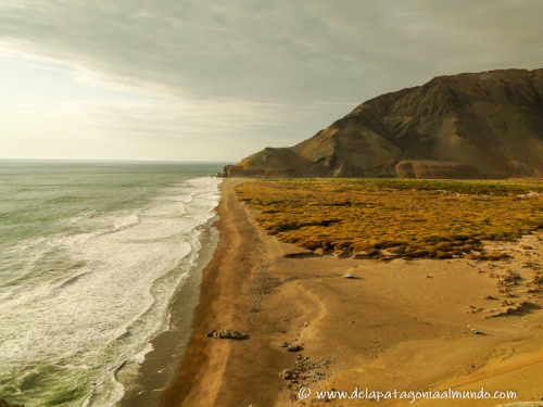 Caleta Camarones, desierto de Atacama, Chile Chile