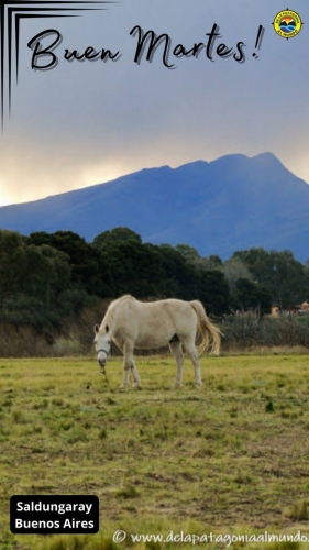 Foto del día 014