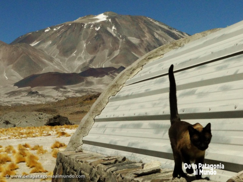 Catamarca 