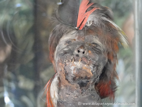 Cabeza reducida por los jíbaros. Museo Inti-Ñan, Ecuador