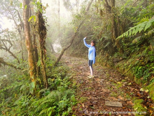 Explorando la selva ecuatoriana