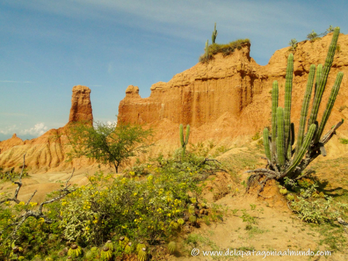 Desierto de la Tatacoa, Colombia