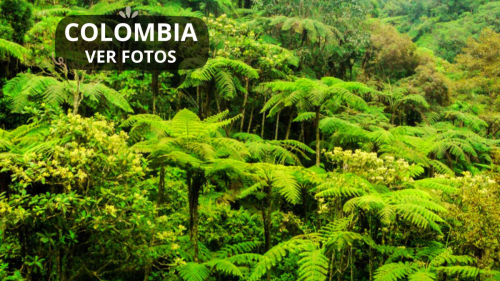 COLOMBIA