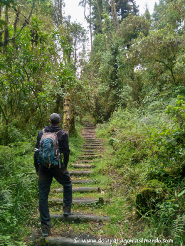 Escalera a lo desconocido...Ecuador