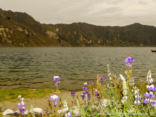 En el fondo del cráter. Laguna Quilotoa, Ecuador