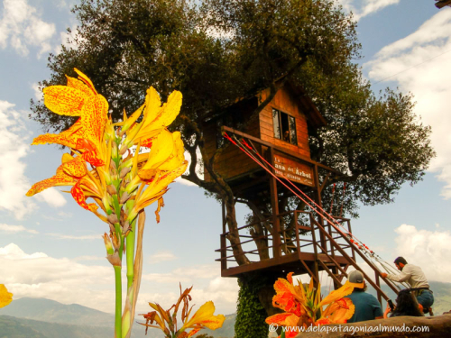 La Casa del Árbol, Baños, Ecuador